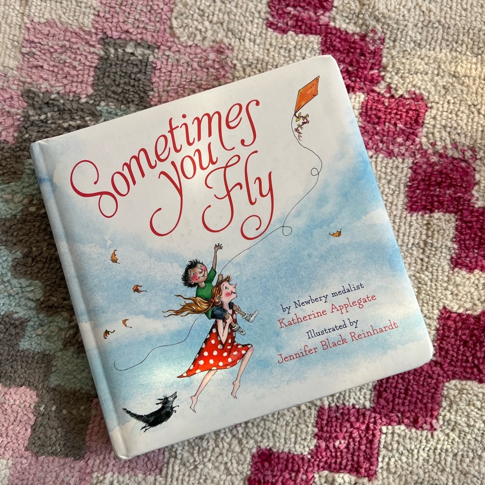Sometimes You Fly Book Brand New
